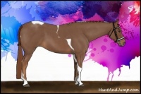 Horse Color:Red Roan Tobiano 