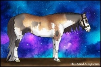 Horse Color:Blue Onyx  and Buckskin Onyx Splash 