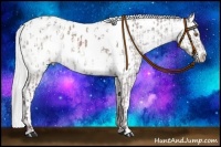 Horse Color:Chocolate Smoky Grullo Chinchilla Appaloosa  and Chocolate Silver Brown Chinchilla Dun Appaloosa 