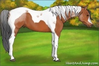 Horse Color:Bay Tobiano 