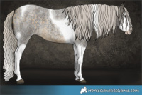 Horse Color:Silver Buckskin Roan Splash Tobiano 