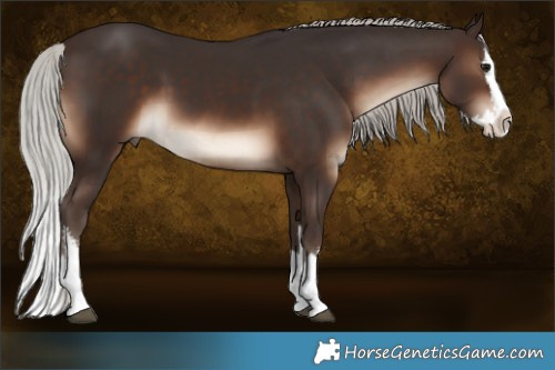 Horse Color:White Spotted Silver Brown Splash 