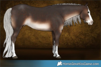 Horse Color:White Spotted Silver Brown Splash 