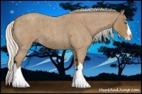 Horse Color:Silver Buckskin Roan Splash 