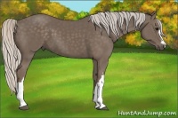 Horse Color:Silver Black 
