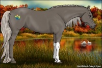 Horse Color:Silver Black 