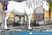 Horse Color:White Spotted Chocolate Brown Ice Splash Frame Appaloosa Rabicano