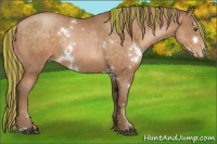 Horse Color:Painted White Spotted Brown Pearl Sabino Rabicano 