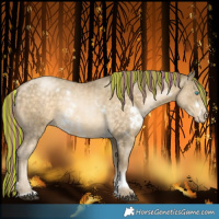 Horse Color:Painted White Spotted Brown Snowdrop Pearl Sabino Rabicano 