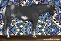 Horse Color:White Spotted Black Sabino Frame