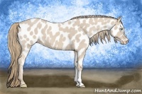 Horse Color:Smoky Creme Near Leopard