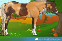 Horse Color:Liver Chestnut and Gold Cream Champagne