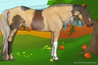 Horse Color:Liver Chestnut  and Gold Cream Champagne 