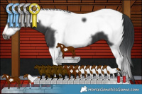 Horse Color:Black Tobiano Frame