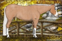 Horse Color:Silver Bay Roan Sabino Splash 