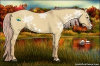 Horse Color:Palomino Ice Dun Splash Frame 