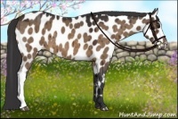 Horse Color:Brown Dun Leopard Brindle