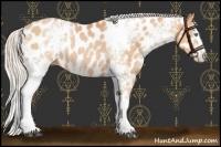 Horse Color:White Spotted Chocolate Silver Brown Pearl Near Leopard Rabicano 
