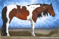Horse Color:Bay Tobiano