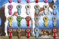 Horse Color:Buckskin Tobiano Frame Appaloosa