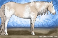 Horse Color:White Spotted Chocolate Palomino Pearl Sabino