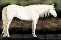Horse Color:Smoky Blue Roan Pearl  and Smoky Blue Roan Pearl Frame 