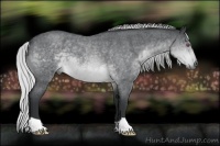 Horse Color:Silver Brown Chinchilla Roan 