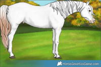 Horse Color:Bay Roan Varnish 