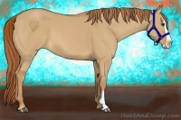 Horse Color:Red Dun Splash Frame