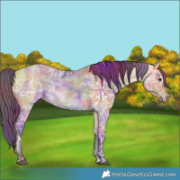 Horse Color:Nacre Buckskin Ice Dun