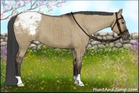 Horse Color:Liver Red Dun Appaloosa Brindle