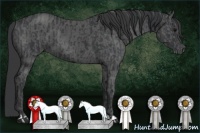 Horse Color:Black Ice  and Black Ice 