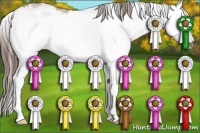 Horse Color:Bay Dun Sabino Splash Frame Appaloosa 