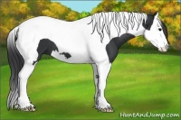 Horse Color:Black Splash Tobiano