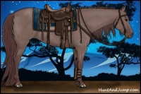 Horse Color:Chocolate Grullo Brindle 