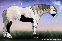 Horse Color:Nacre Brown Ice Splash