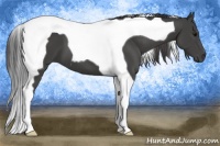 Horse Color:Smoky Black Tobiano 