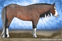 Horse Color:Brown Roan Splash Rabicano