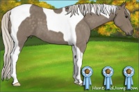 Horse Color:Silver Smoky Blue Roan Tobiano 
