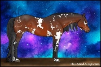 Horse Color:White Spotted Brown