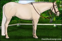 Horse Color:Silver Buckskin Pearl Sabino 