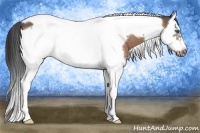 Horse Color:Buckskin Roan Splash Tobiano Frame Rabicano 