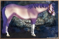 Horse Color:Watercolor Bay Onyx 