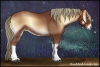 Horse Color:Red Onyx 