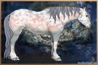 Horse Color:Watercolor Blue Onyx Ice 