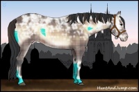 Horse Color:Plaid  Brown Ice Onyx 