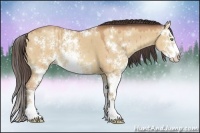 Horse Color:Amber Champagne Dun Sabino
