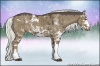 Horse Color:Liver Red Dun Sabino Rabicano