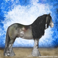 Horse Color:Grullo Sabino Rabicano Brindle 