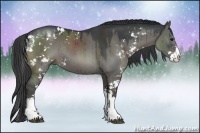 Horse Color:Grullo Sabino Rabicano